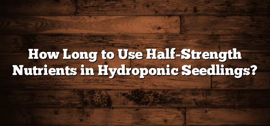 How Long to Use Half-Strength Nutrients in Hydroponic Seedlings?