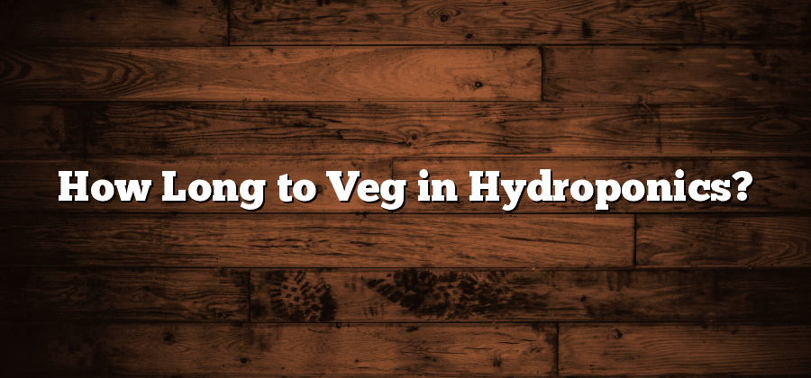 How Long to Veg in Hydroponics?