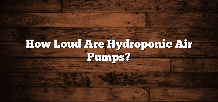 How Loud Are Hydroponic Air Pumps?