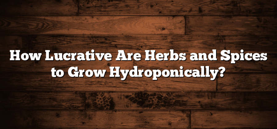 How Lucrative Are Herbs and Spices to Grow Hydroponically?