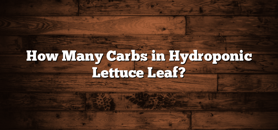 How Many Carbs in Hydroponic Lettuce Leaf?