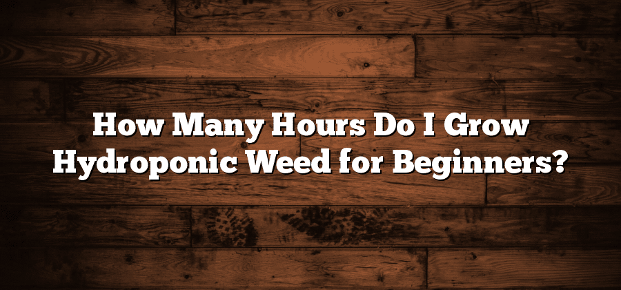 How Many Hours Do I Grow Hydroponic Weed for Beginners?