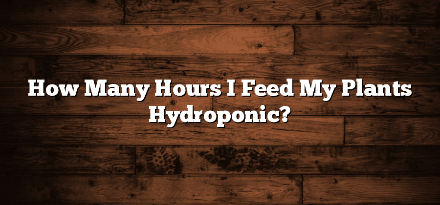 How Many Hours I Feed My Plants Hydroponic?