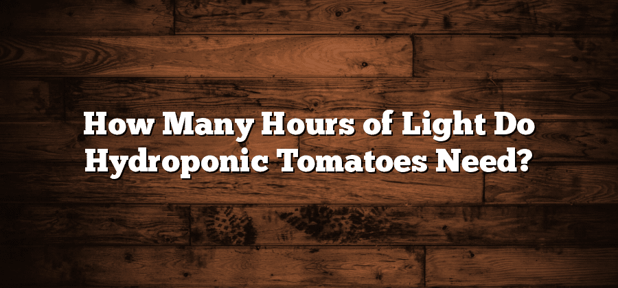 How Many Hours of Light Do Hydroponic Tomatoes Need?