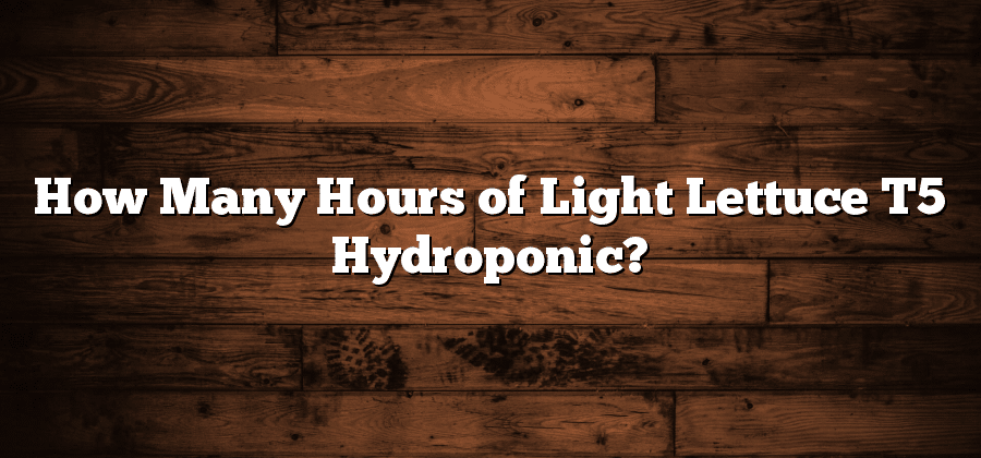 How Many Hours of Light Lettuce T5 Hydroponic?