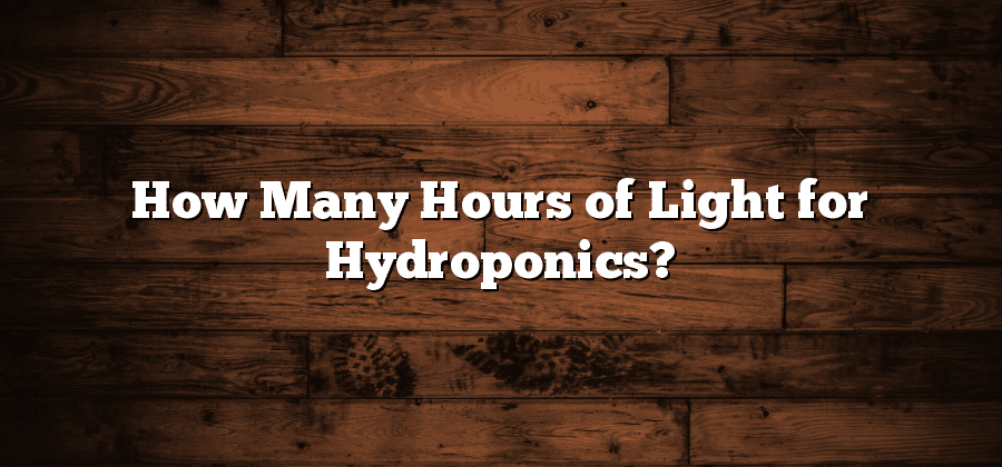 How Many Hours of Light for Hydroponics?