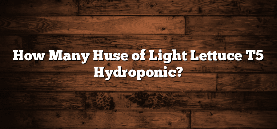 How Many Huse of Light Lettuce T5 Hydroponic?