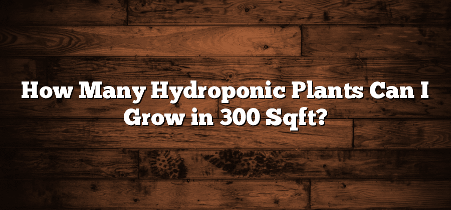 How Many Hydroponic Plants Can I Grow in 300 Sqft?