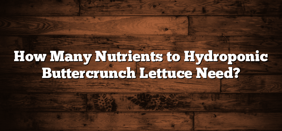 How Many Nutrients to Hydroponic Buttercrunch Lettuce Need?