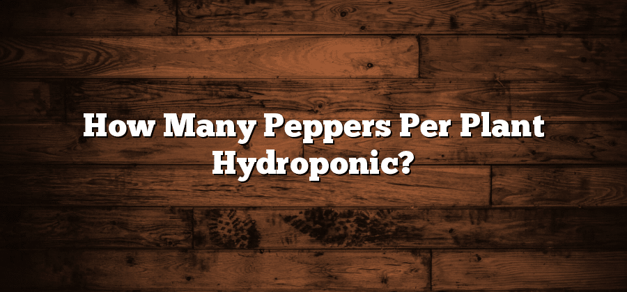How Many Peppers Per Plant Hydroponic?