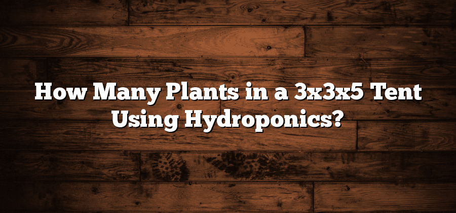 How Many Plants in a 3x3x5 Tent Using Hydroponics?