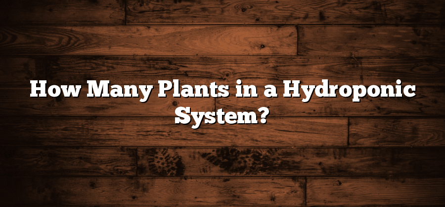 How Many Plants in a Hydroponic System?