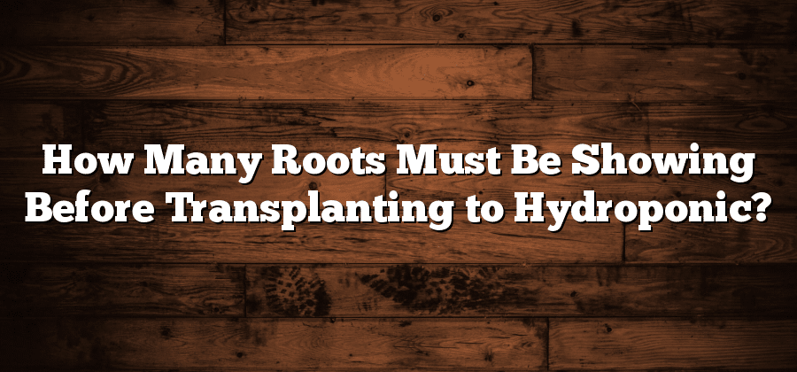 How Many Roots Must Be Showing Before Transplanting to Hydroponic?