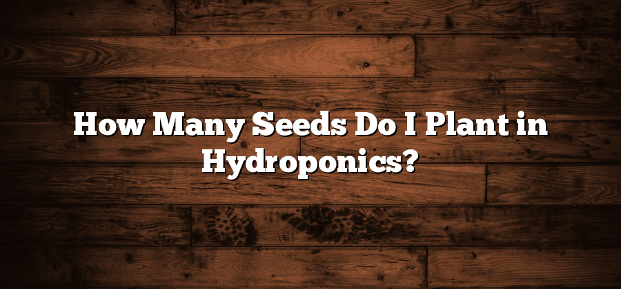 How Many Seeds Do I Plant in Hydroponics?