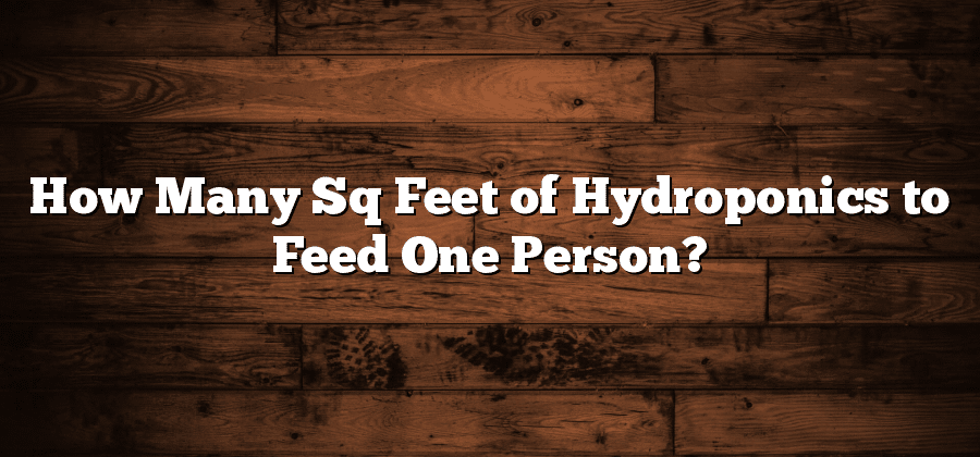 How Many Sq Feet of Hydroponics to Feed One Person?