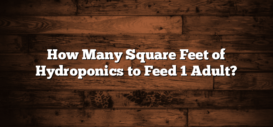 How Many Square Feet of Hydroponics to Feed 1 Adult?