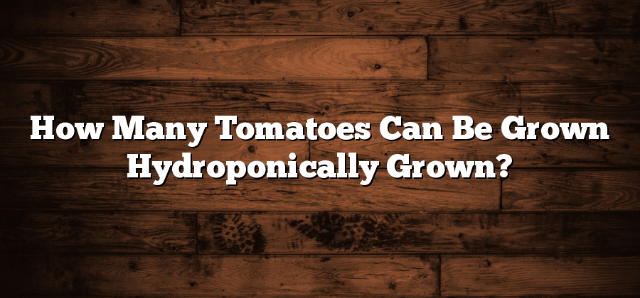 How Many Tomatoes Can Be Grown Hydroponically Grown?
