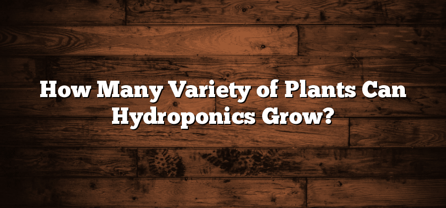 How Many Variety of Plants Can Hydroponics Grow?