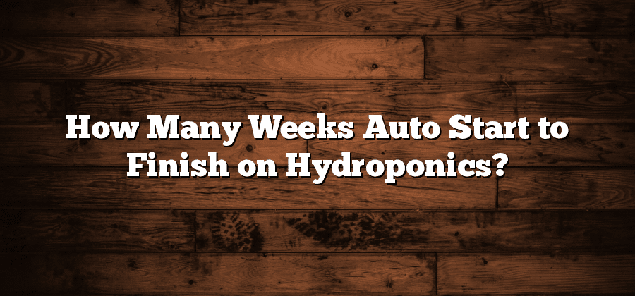 How Many Weeks Auto Start to Finish on Hydroponics?
