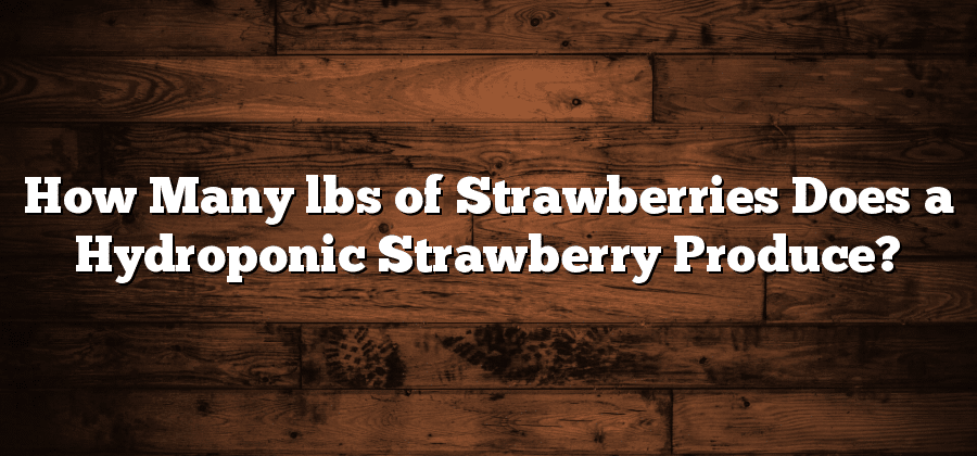 How Many lbs of Strawberries Does a Hydroponic Strawberry Produce?