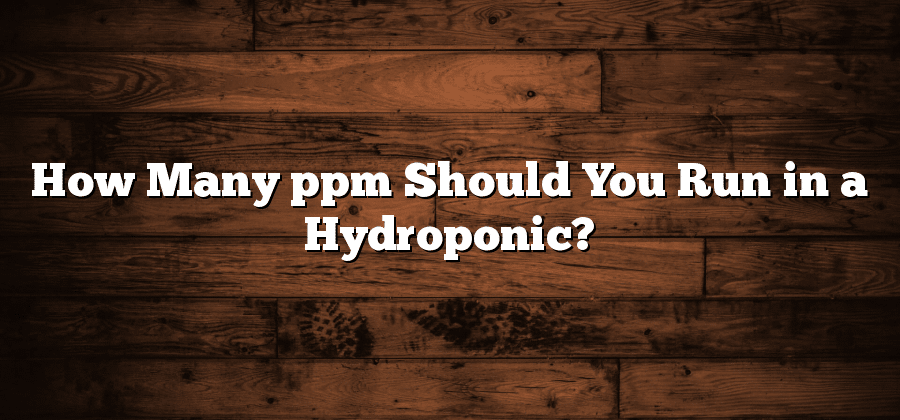 How Many ppm Should You Run in a Hydroponic?