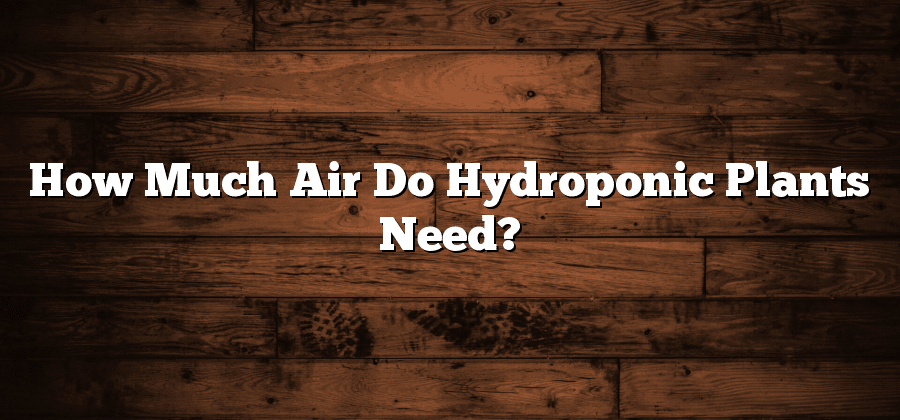 How Much Air Do Hydroponic Plants Need?