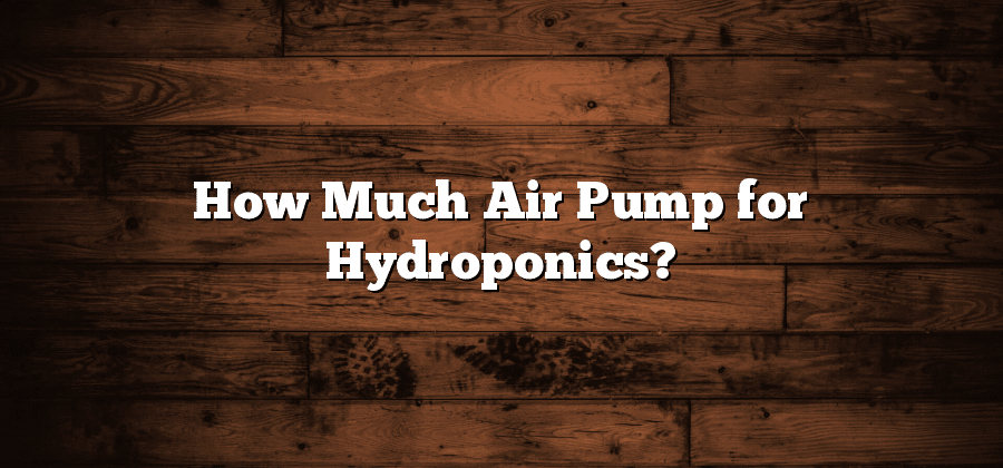 How Much Air Pump for Hydroponics?
