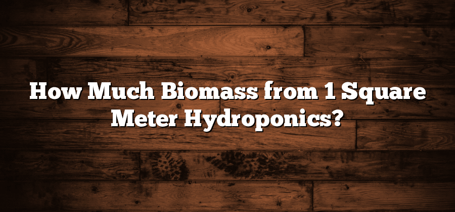 How Much Biomass from 1 Square Meter Hydroponics?