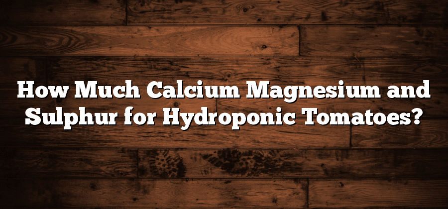 How Much Calcium Magnesium and Sulphur for Hydroponic Tomatoes?