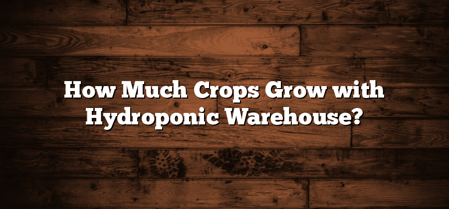 How Much Crops Grow with Hydroponic Warehouse?