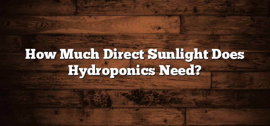 How Much Direct Sunlight Does Hydroponics Need?