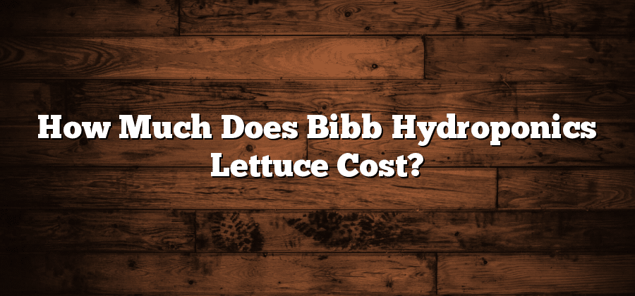 How Much Does Bibb Hydroponics Lettuce Cost?