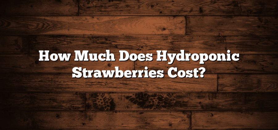 How Much Does Hydroponic Strawberries Cost?