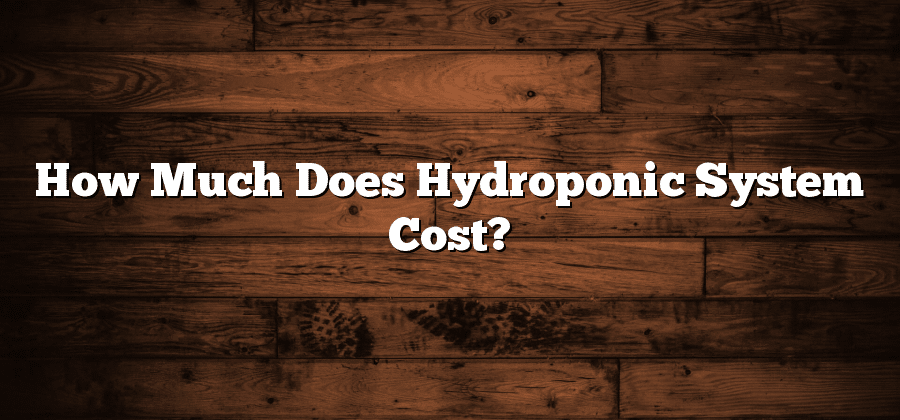 How Much Does Hydroponic System Cost?