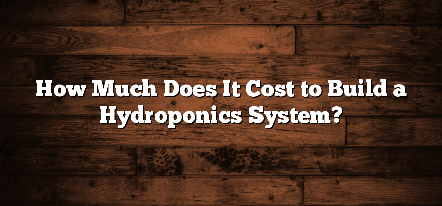 How Much Does It Cost to Build a Hydroponics System?