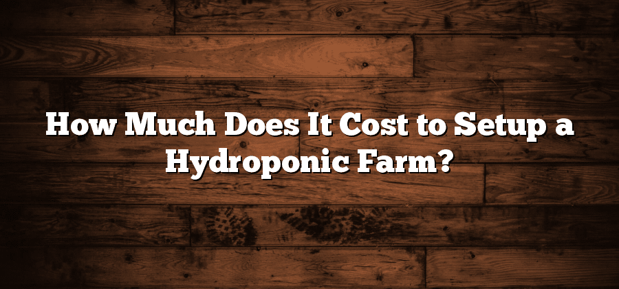 How Much Does It Cost to Setup a Hydroponic Farm?