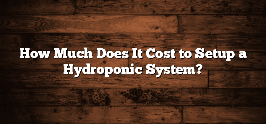 How Much Does It Cost to Setup a Hydroponic System?