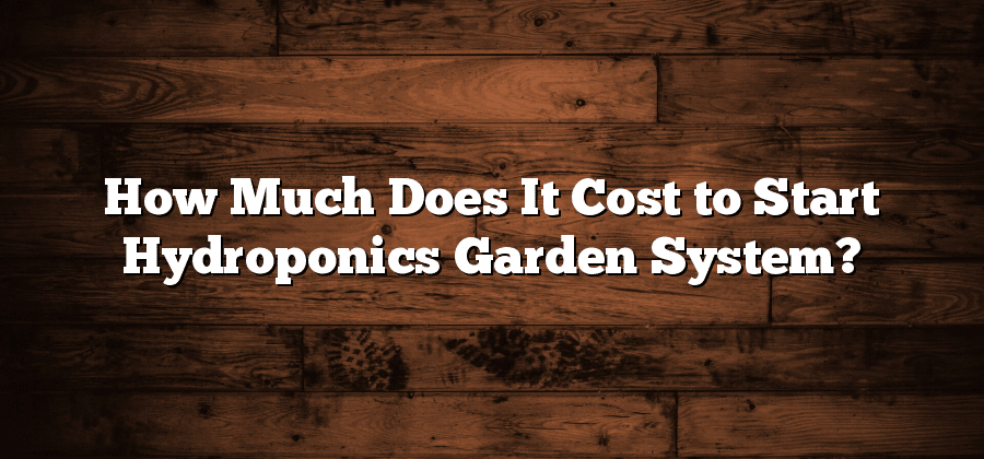 How Much Does It Cost to Start Hydroponics Garden System?