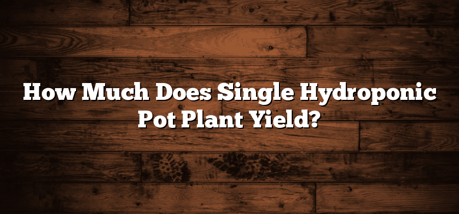 How Much Does Single Hydroponic Pot Plant Yield?