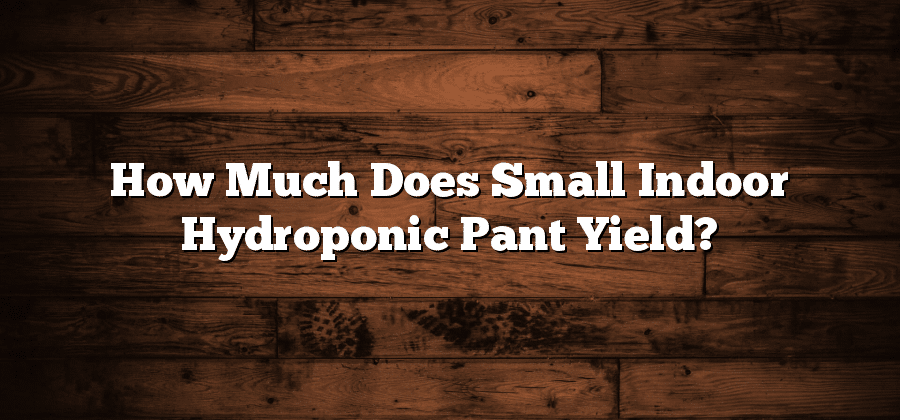How Much Does Small Indoor Hydroponic Pant Yield?