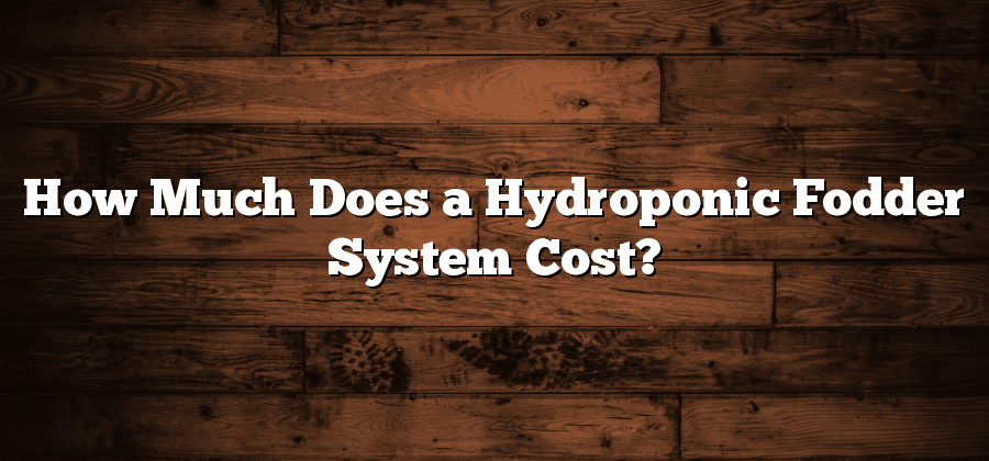 How Much Does a Hydroponic Fodder System Cost?