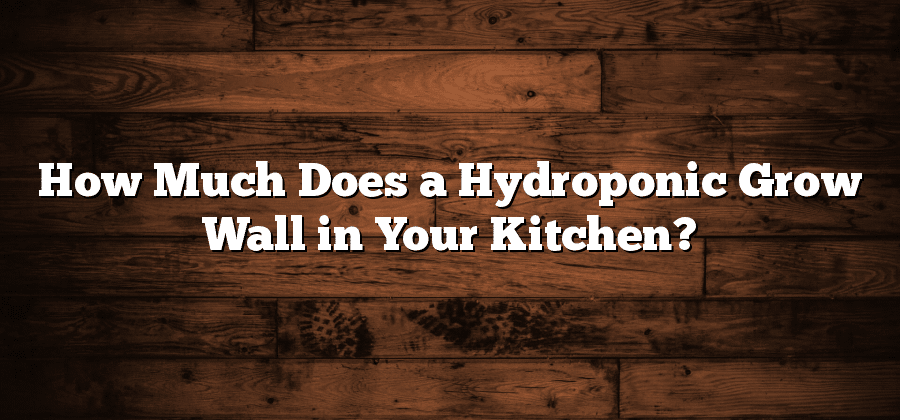 How Much Does a Hydroponic Grow Wall in Your Kitchen?
