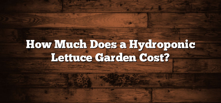 How Much Does a Hydroponic Lettuce Garden Cost?