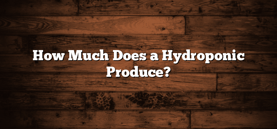 How Much Does a Hydroponic Produce?