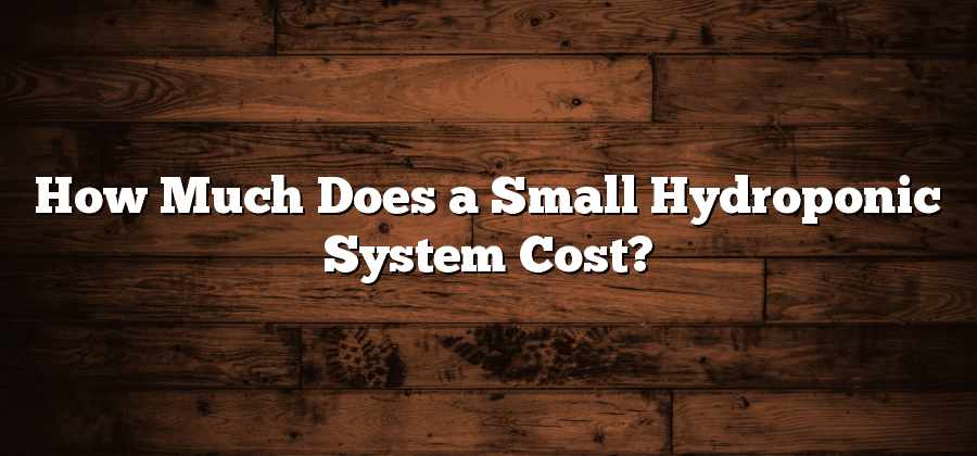 How Much Does a Small Hydroponic System Cost?
