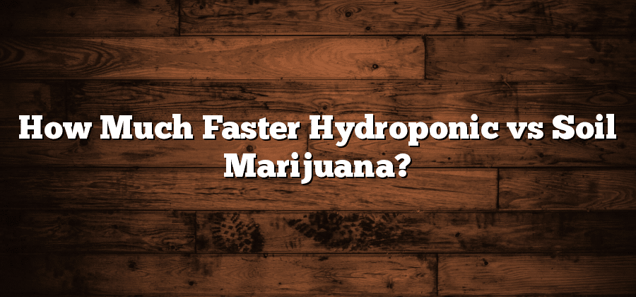How Much Faster Hydroponic vs Soil Marijuana?