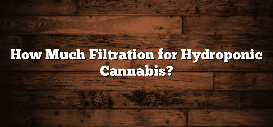 How Much Filtration for Hydroponic Cannabis?