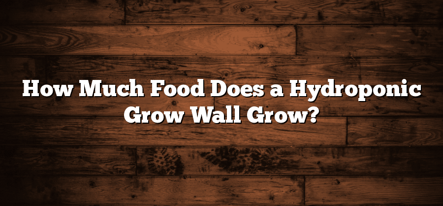 How Much Food Does a Hydroponic Grow Wall Grow?