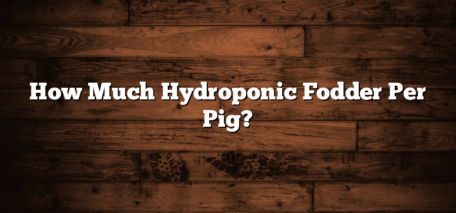 How Much Hydroponic Fodder Per Pig?