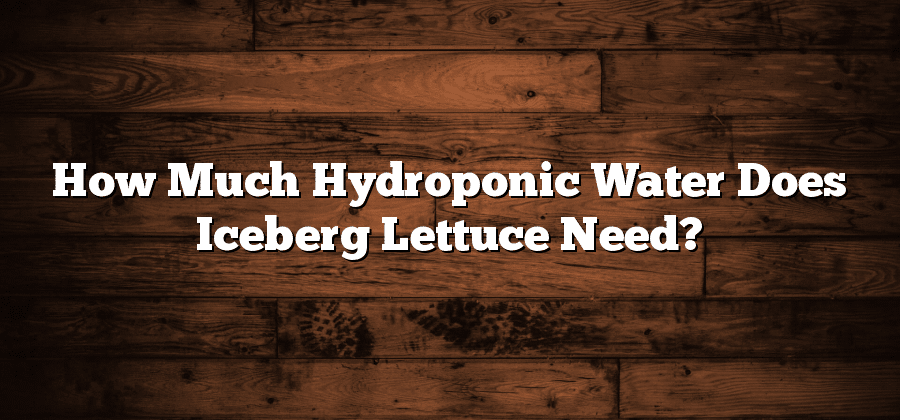 How Much Hydroponic Water Does Iceberg Lettuce Need?